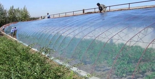 大棚吹膜用哪種增白劑？